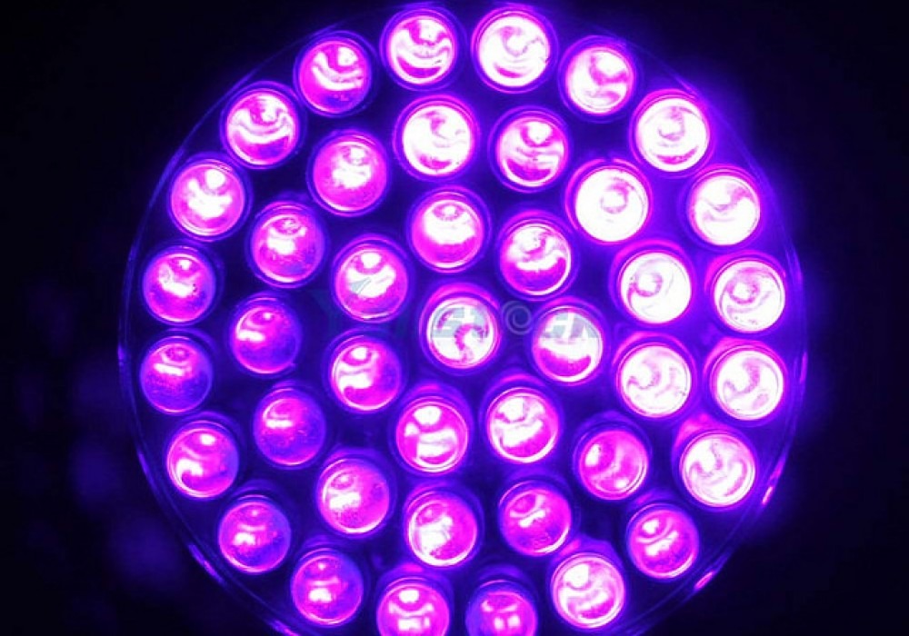 Cho Thuê Đèn Chiếu Tia UV Cho Thuê Đèn Chiếu Tia UV